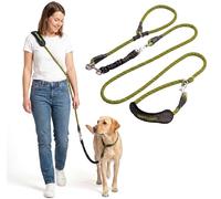SparklyPets - Laisse Double de Qualité Supérieure pour 2 Chiens - Absorption des Chocs, Anti-Traction - Double Attache Réglable - pour 2 Chiens de Petite à Grande Taille