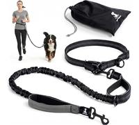 SparklyPets - Laisse Mains Libre pour Chien de Moyenne à Grande Taille - Anti-Traction, Coutures Réfléchissantes - Accessoire Chien pour Jogging, Marche à Pied, Randonnée, Carnicross