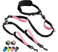 SparklyPets - Laisse Mains Libre pour Petit Chien - Anti-Traction, Coutures Réfléchissantes - Accessoire Chien pour Jogging, Marche à Pied, Randonnée, Carnicross
