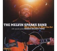 Sparks, Melvin - What You Hear I s What You Get