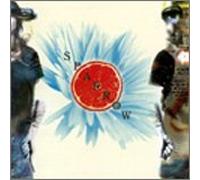 Sparrow (CD+DVD) [Import]