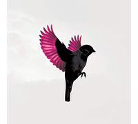 Sparrow [Import]