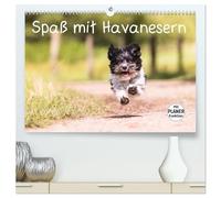 Spaß mit Havanesern (hochwertiger Premium Wandkalender 2026 DIN A2 quer), Kunstdruck in Hochglanz: Fröhliche Havaneser begleiten Sie durch Ihr Jahr. Lassen Sie sich verzaubern.