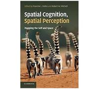 Spatial Cognition, Spatial Perception