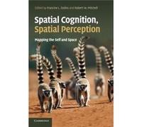 Spatial Cognition, Spatial Perception