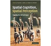 Spatial Perception, Spatial Cognition