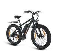 SPATIAL Vélo électrique 26""*4 Noir-Moteur 1000W- Batterie 48V13Ah- Shimano 7 Vitesses - VTT Ville E-Bike - Autonomie 110 km