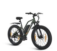 SPATIAL Vélo Électrique 26""*4 Vert - Moteur 1000W - Batterie 48V 13Ah- Autonomie 110km - VTT Ville E-Bike - Shimano 7 Vitesses