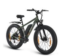 SPATIAL Vélo électrique 26""*4 Vert-Moteur 1000W- Batterie 48V13Ah- Shimano 7 Vitesses - VTT Ville E-Bike - Autonomie 110 km