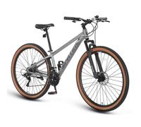 SPATIAL Velo VTT 29"" - Shimano 21 Vitesses - Cadre en alliage d'aluminium - Pour Ville et Loisirs - Pour Homme/Femme - Argent