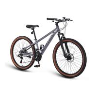 SPATIAL VTT pour Adultes et Adolescents 29/27,5/26/24 Pouces, Cadre Aluminium Léger, 21/8 Vitesses, Selle Ergonomique Réglable, Vélo Tout Terrain pour Montagne et Forêt (Argent, 26 Pouces)