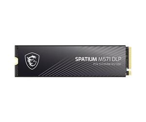 SPATIUM M571 DPL - SSD - 4 To - interne - M.2 2280 - PCI Express 5.0 x4 (NVMe) - dissipateur de chaleur intégré