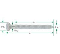 SPAX Clou cannelé - Clou d'ancrage 4,0x50 - 250 pces