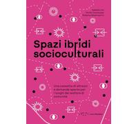 Spazi ibridi socioculturali. Una cassetta di attrezzi e domande aperte per i luoghi del welfare di comunità
