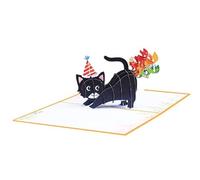 SPDYCESS Carte D'Anniversaire, Pop Up Carte Anniversaire Chat Drôle Anniversaire Chat Carte, Carte de Joyeux Anniversaire Carte de Vœux avec Enveloppe Invitation Anniversaire Fille Garçon