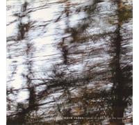 Speak No More About The Leaves