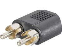 SpeaKa Professional SP-7869756 Cinch-RCA / Jack audio Adaptateur Y [2x Cinch-RCA mâle - 1x Jack femelle 3.5 mm] noir