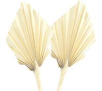 Spear de palmier blanchi 20 pcs - Décoration naturelle élégante pour fleurs de deuil & décoration d'intérieur