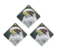 Spear Falcon Lot de 3 désodorisants à suspendre pour voiture, maison, bureau Motif aigle blanc