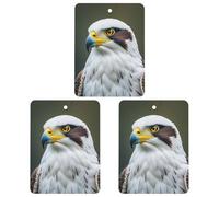 Spear Falcon, Lot de 3 désodorisants carrés à suspendre pour voiture, maison, bureau, style noir