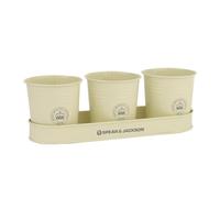 Spear & Jackson Kew Gardens Urban Oasis Set de 3 Pots avec Plateau, Jardinière Intérieure en Acier Galvanisé pour Herbes, Semis et Bulbes, Crème