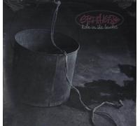 Spearhead - Hole in Bucket / Runfayallfe [Vinyl LP]