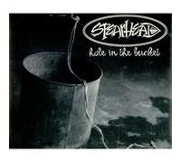 Spearhead - Hole in the Bucket