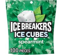 Spearmint Sugar Free Chewing Gum, Made with Xylitol, 8.11 oz Pouch (100 Pieces)