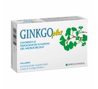 Ginkgo Plus 30Cps