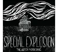 Special Explosion - Art of Mothering