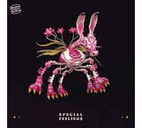 Special Feelings - Special Feelings