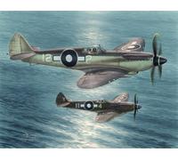 Special Hobby 100-SH48116 - 1:48 Seafire Mk.xv " Far East Service "