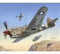 SPECIAL HOBBY 72155 MAQUETTE AVION P-40 F WARHAWK "SHORT TAILS OVER AFRICA" 1/72