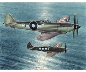 Special Hobby SH48116 - Seafire MK.XV Far East Service Avion