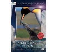 Special Interest - Die schönsten Naturreisen der Welt: Antarktis & Pinguine erleben