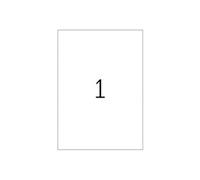 Special - Papier - haute-brillance - auto-adhésif permanent - blanc - A4 (210 x 297 mm) 25 étiquette(s) étiquettes