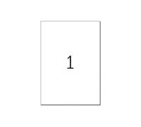 Special - Papier - mat - auto-adhésif permanent - vert - A4 (210 x 297 mm) 20 étiquette(s) (20 feuille(s) x 1 étiquettes