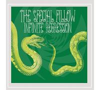 Special Pillow - Infinite Regression