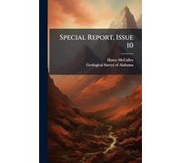 Special Report, Issue 10