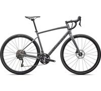 Specialized Gravelbike Diverge E5 Elite 28" gris