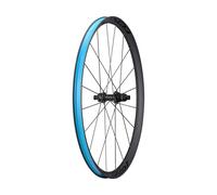 Specialized Roue Roval Control World Cup Carbon Disc Center Lock 29" noir