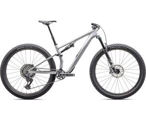 Specialized Vélo de montagne Epic 8 Expert Evo Carbone 29" gris