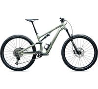 Specialized Vélo de tout-terrain Stumpjumper Alloy 15 gris