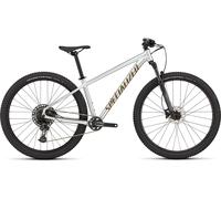 Specialized Vélo Tout-Terrain Rockhopper Expert VN 29" gris