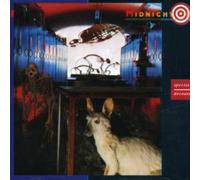 Species Deceases (Remastered) by Midnight Oil