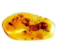 Spécimen d'ambre colombien naturel avec inclusions d'insectes fossilisés, couleur caramel, moustiques anciens préservés (plus de 6), un scarabée et une inscription volante (abeille?), 4,6 g