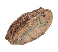 Spécimen de libellule en résine pour vivarium et réservoirs