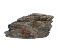 Spécimen D'insecte Artificiel en Résine pour Terrarium Éducatif | Aspect Réaliste Marron, pour Vivarium de Reptiles et Collections Scientifiques, Décor Préhistorique