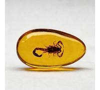 Spécimen d'insecte en résine ambre - réplique libellule/papillon/cigale/scorpion/scarabe/guêpe/crabe/mille-pattes, 8 x 4 cm, presse-papier jaune citron (Scorpion)