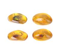 Spécimens D’ambre 4 Pièces en Résine pour Collection Plusieurs styles